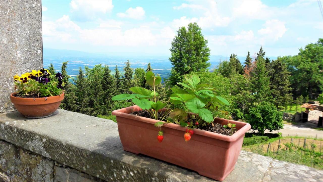 가브리클리아 A Due Passi Dal Chianti 아파트 외부 사진